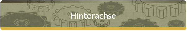 Hinterachse